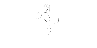 Ferrari-white